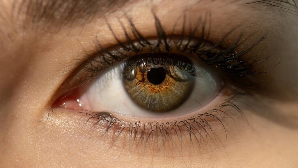 A detailed close-up image of a brown eye highlighting lashes and iris.